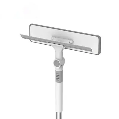 cây lau Kính okwife